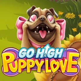 Go High Puppy Love game by RubyPlay – logo hosted on AlaWin Casino